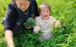 B站大尺度直播冲击底线